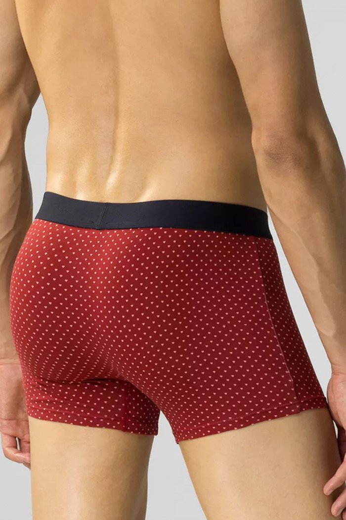 Трусы-боксеры с принтом Мишки Atlantic 2GMH-025 (2 шт)  — Заказать онлайн с доставкой