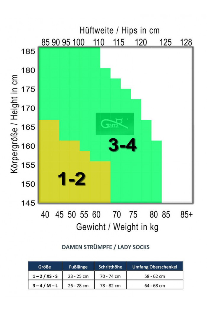 Панчохи зі стрілкою ззаду Gatta Matilde 20d