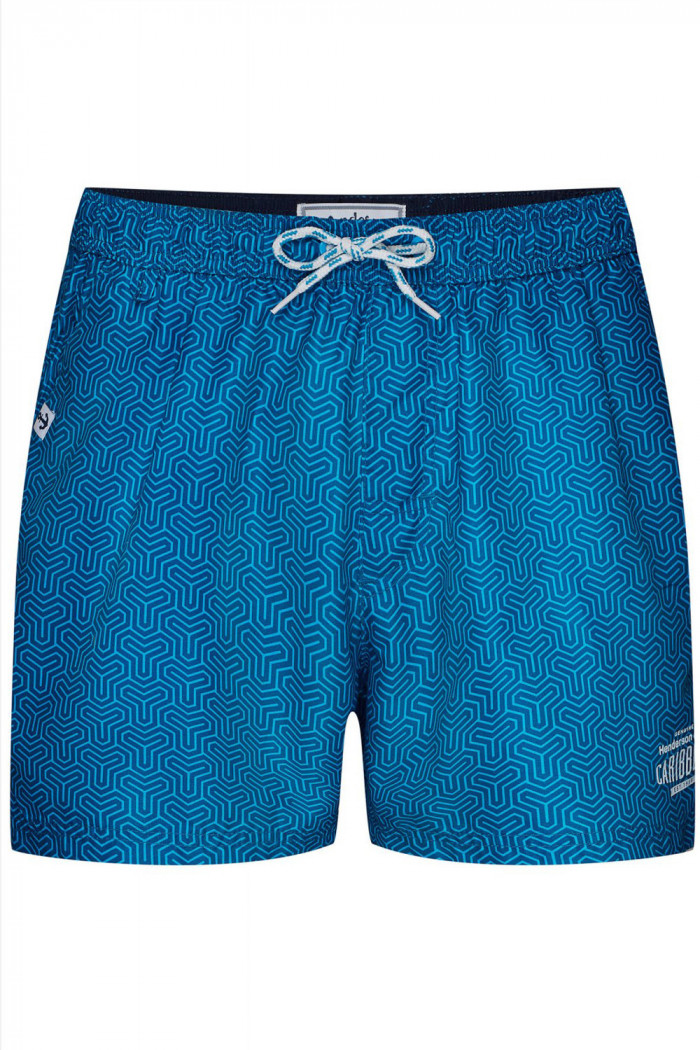 Пляжные шорты с принтом Henderson 38859 SAGE