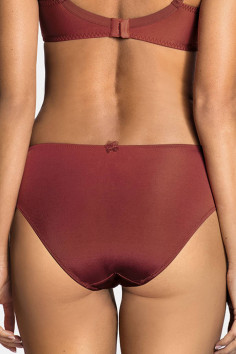 Трусики слип Ewa Bien Isabel C100 2