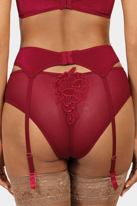 Трусики сліп напівпрозорі Ewa Bien Dolores C511