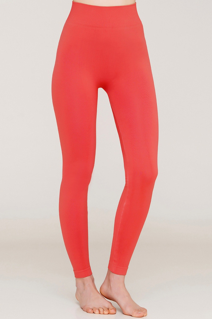 Леггинсы бесшовные Giulia Leggings model 2 Burnt Coral