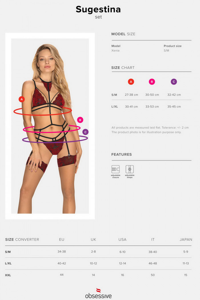 Комплект белья с поясом для чулок Obsessive Sugestina set