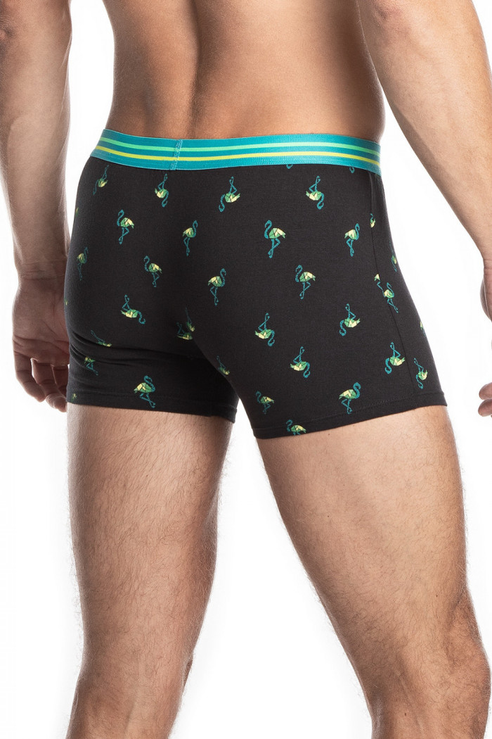 Труси-боксери з принтом LAMA M-978SZG — Купити в Dorin.shop | Ціна, Фото