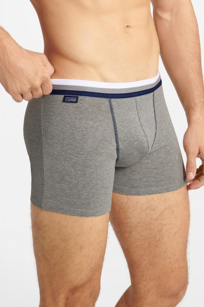 Мужские трусы-боксеры удлиненные Henderson 40649 FROSTY (2 шт)  — Заказать онлайн с доставкой