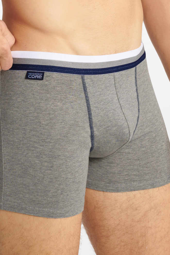 Мужские трусы-боксеры удлиненные Henderson 40649 FROSTY (2 шт)  — Заказать онлайн с доставкой