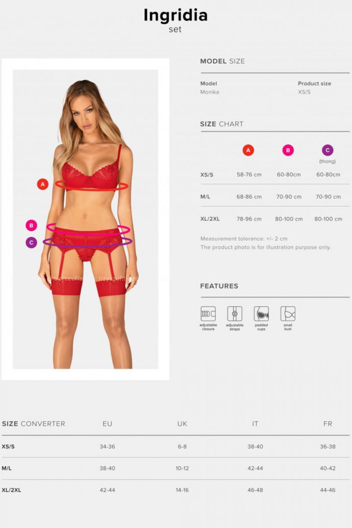 Комплект білизни з поясом для панчіх Obsessive Ingridia garter belt set — Купити в Dorin.shop | Ціна, Фото