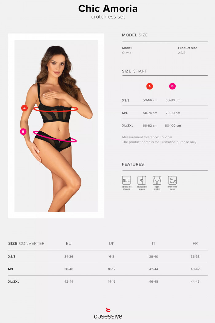 Комплект білизни відкритий Obsessive Chic Amoria set otwarty — Купити в Dorin.shop | Ціна, Фото
