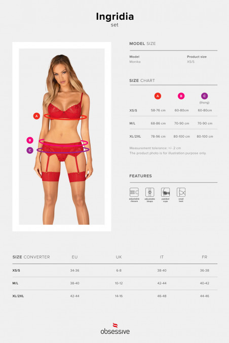 Комплект білизни з поясом для панчіх Obsessive Amor Cherris set — Купити в Dorin.shop | Ціна, Фото