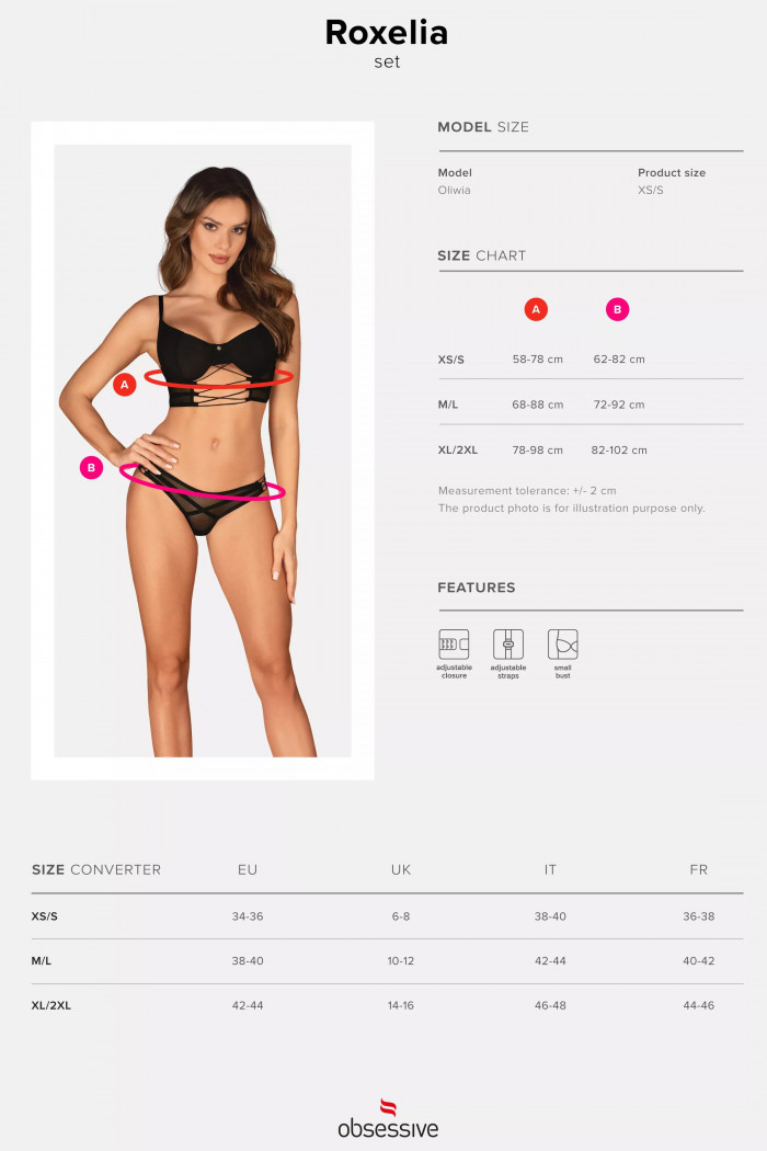 Комплект белья со шнуровкой Obsessive Roxelia set  — Заказать онлайн с доставкой