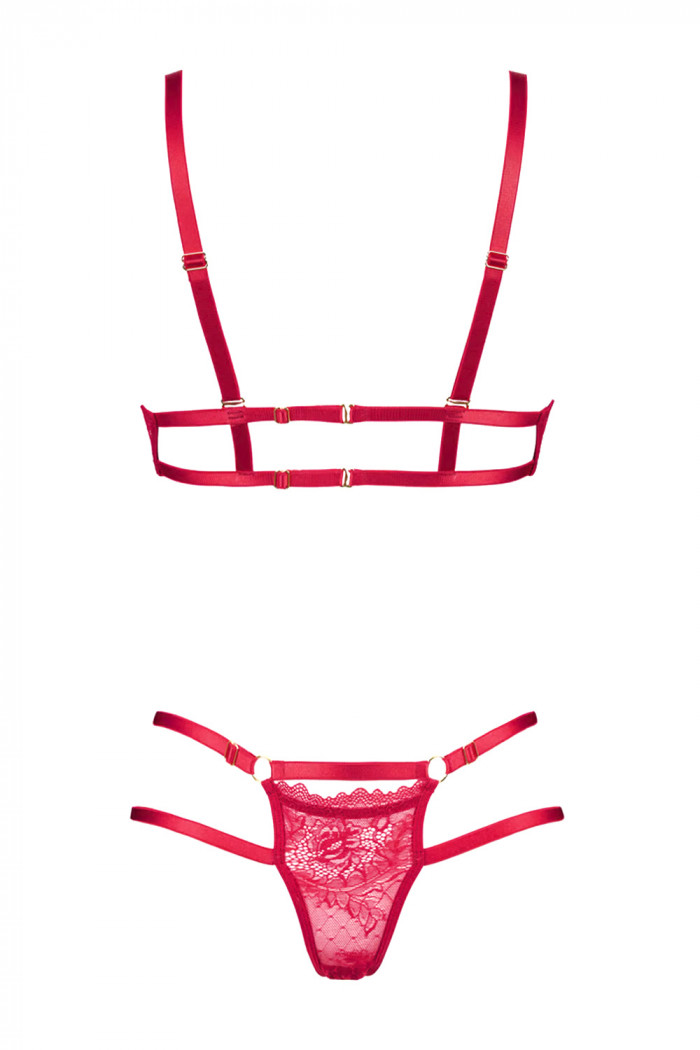 Комплект белья кружевной (бюст и трусики) Anais Aria  — Заказать онлайн с доставкой